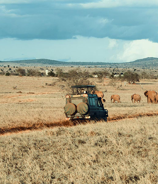 Adventure in East Africa