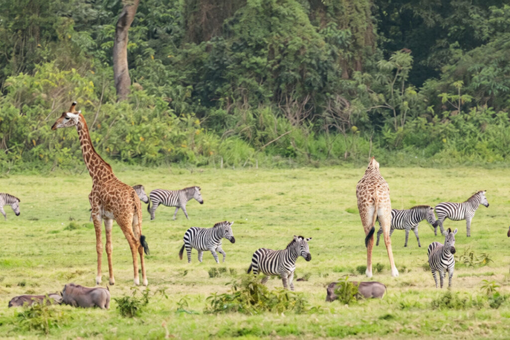 Arusha National Park