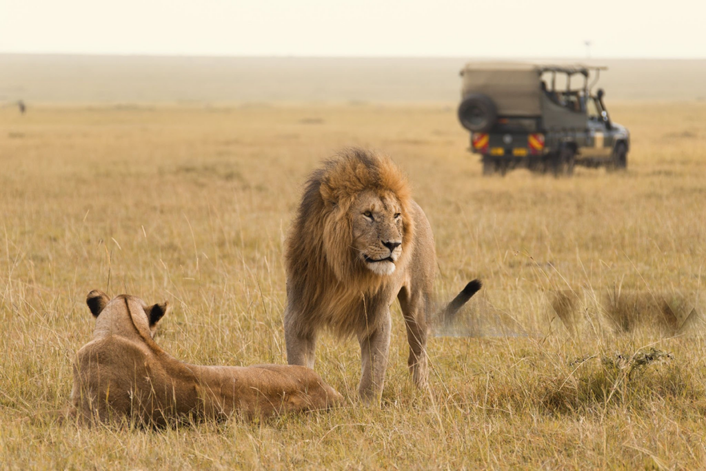 8 Day Classic Kenya Wildlife Safari
