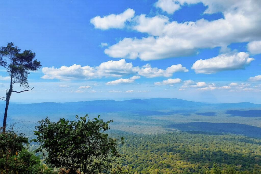 Gishwati-Mukura National Park