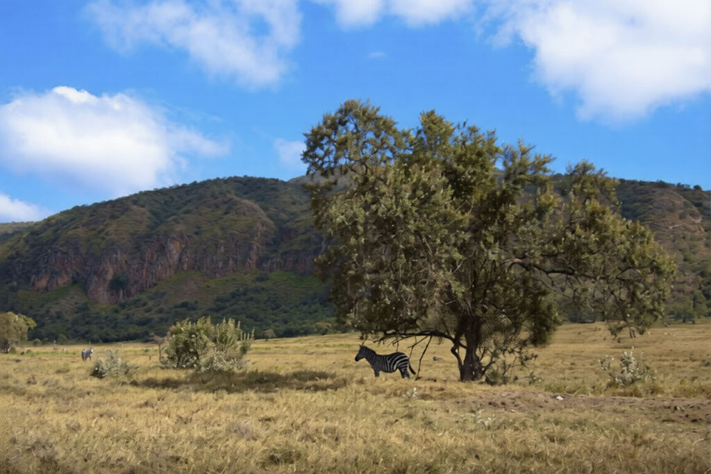 Hell’s Gate National Park