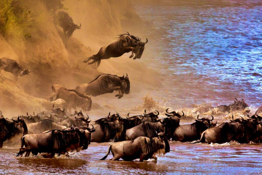 4 Day Kenya Great Wildebeest Migration Safari