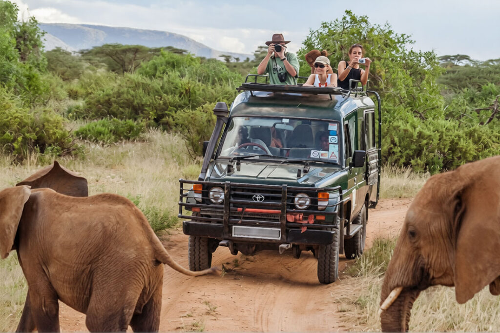 7 Day Best of Kenya Wildlife Safari