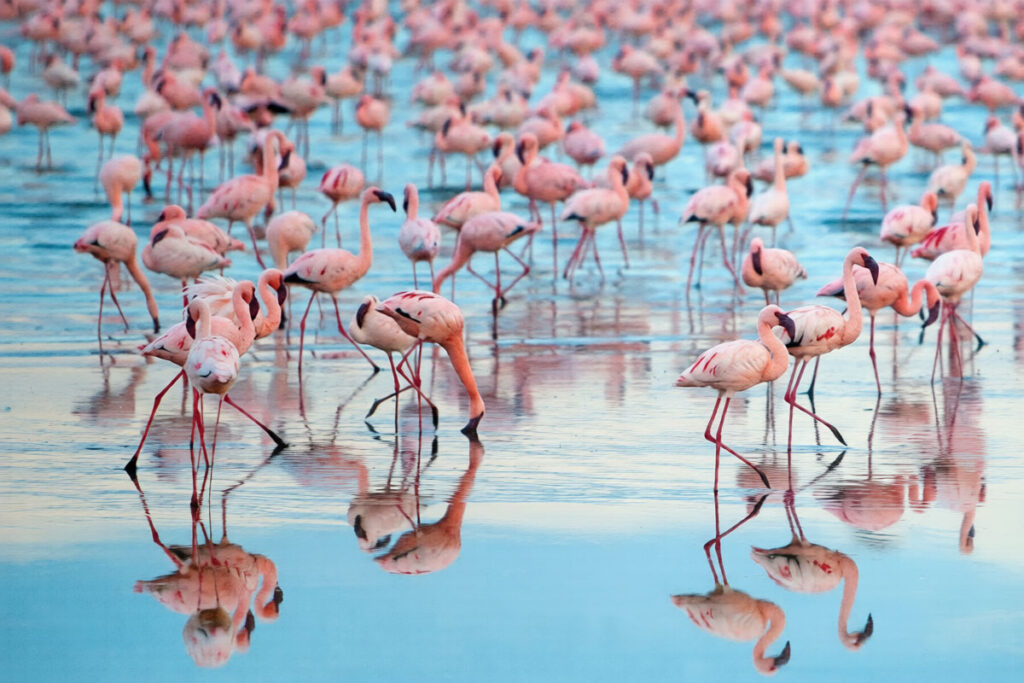 Lake Nakuru National Park