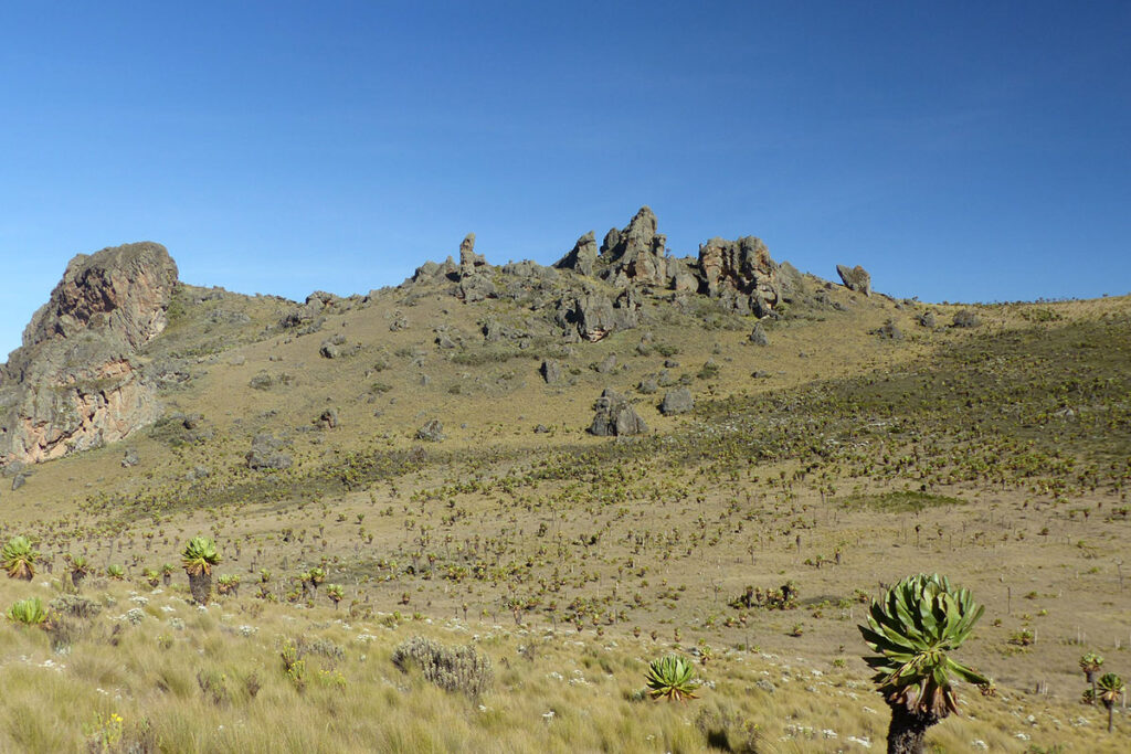 Mount Elgon National Park