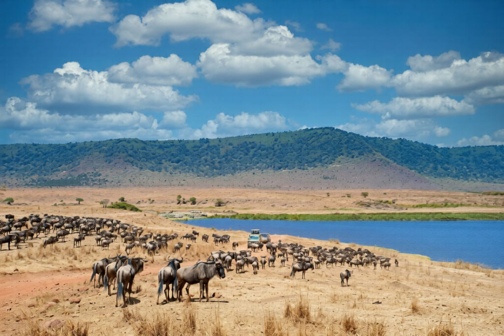 Ngorongoro Conservation Area