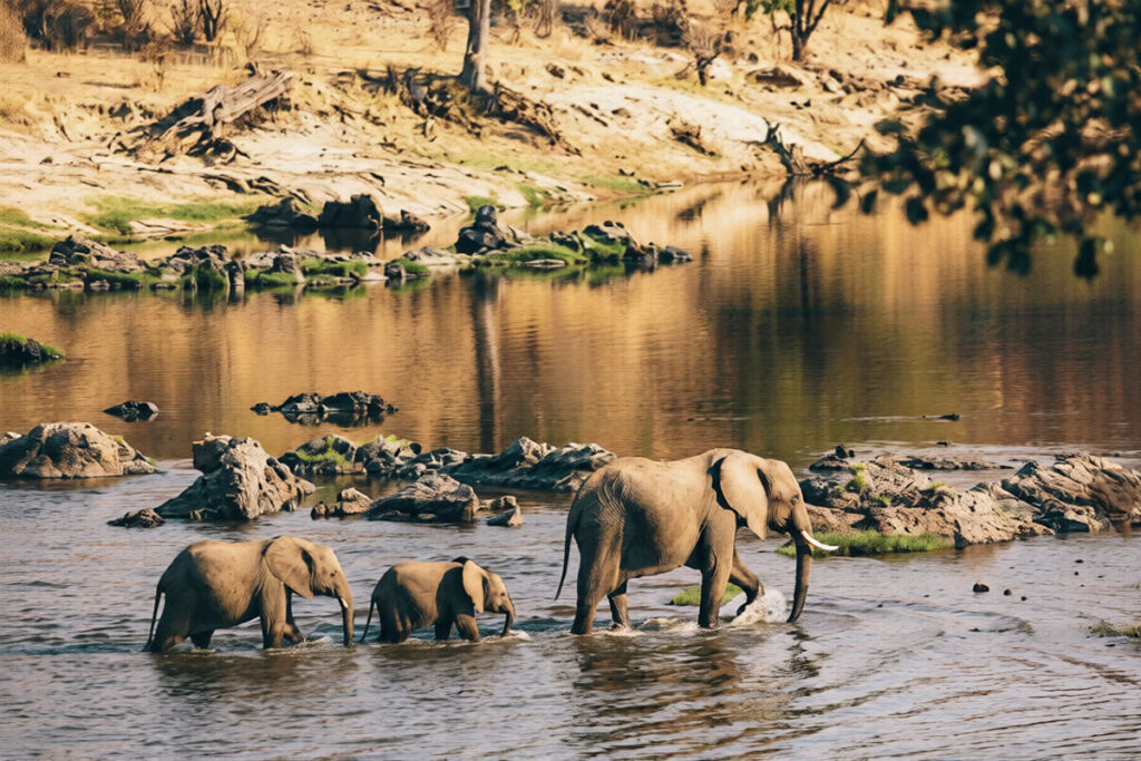 Ruaha National Park