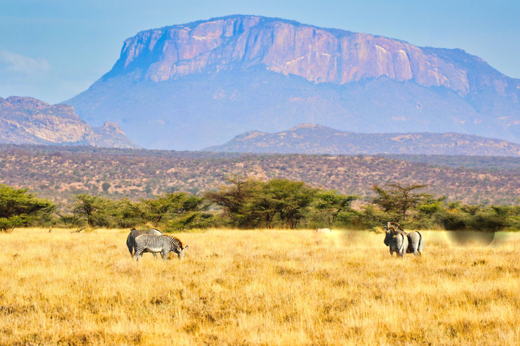 8 Day Kenya Big Five Safari Adventure