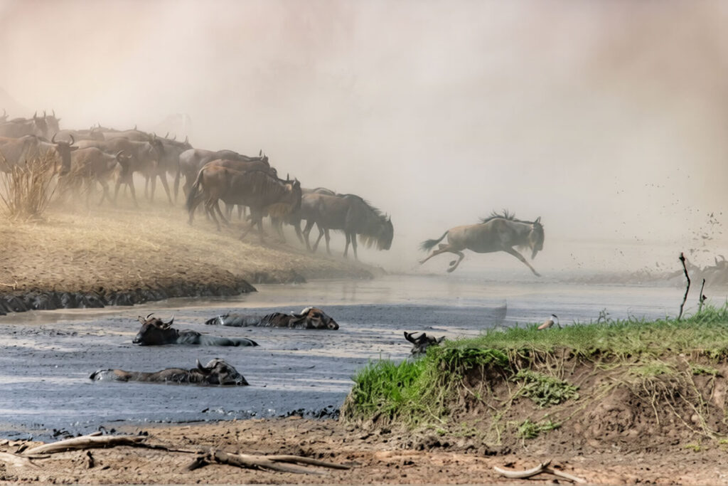 8 Day Tanzania Great Migration Safari