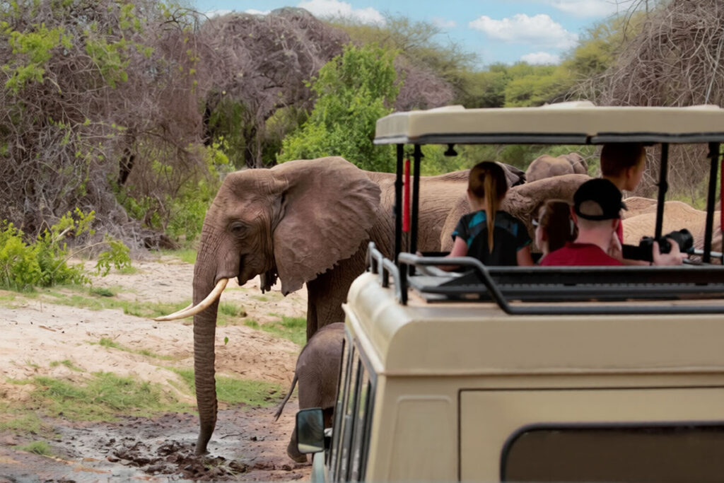 4 Day Tanzania Wildlife Safari