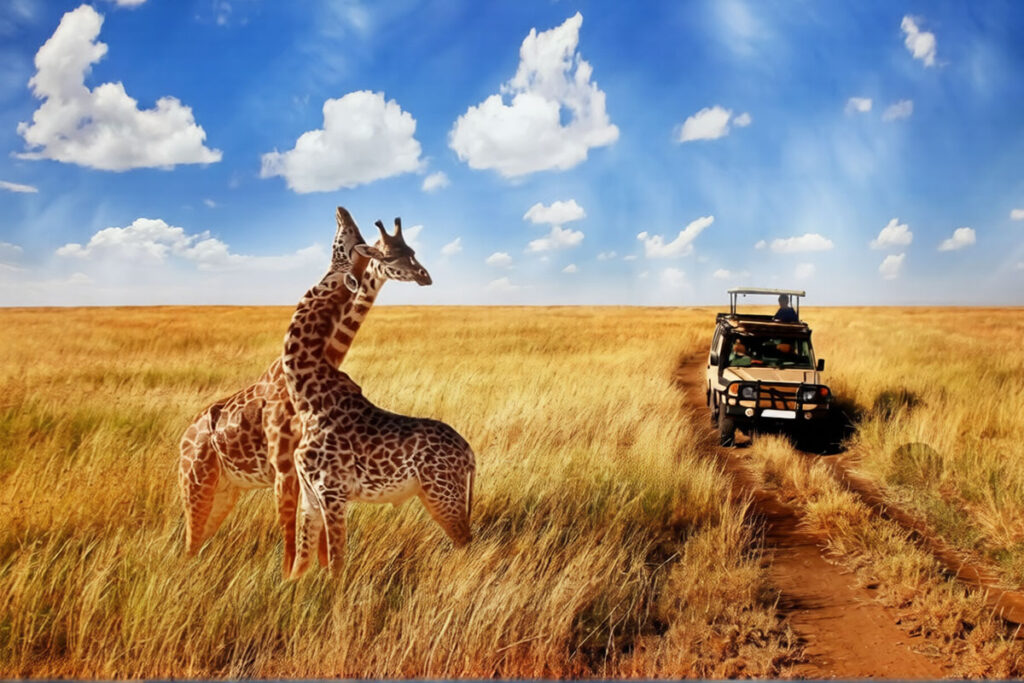 11 Day Uganda Gorilla Trekking & Tanzania Wildlife Safari