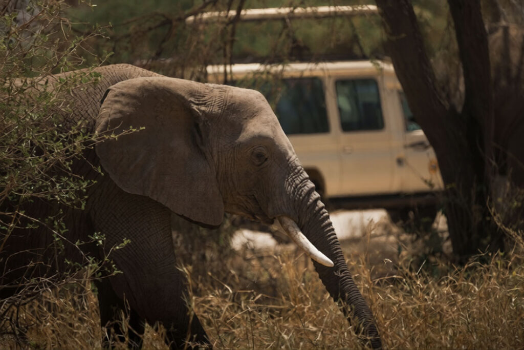 Tarangire National Park