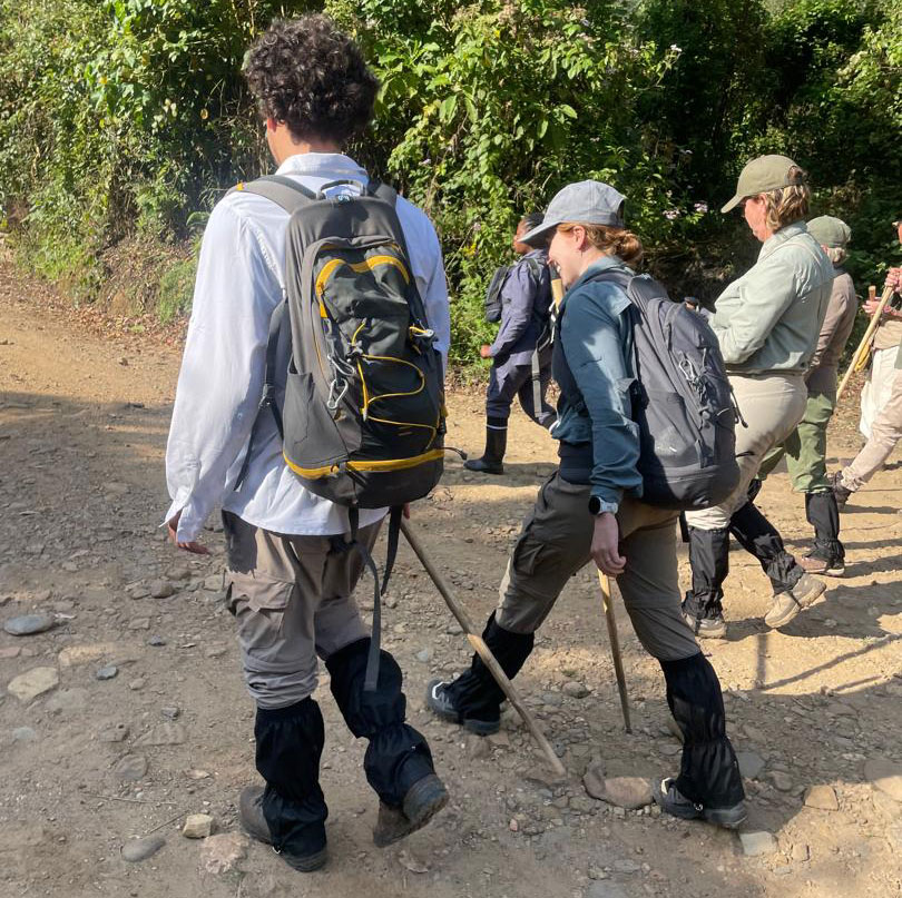 Trekking into Bwindi