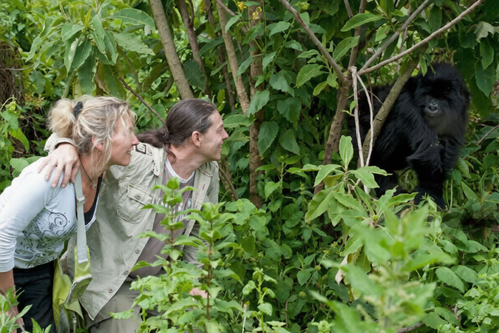 3 Day Rwanda Gorilla Trekking Safari