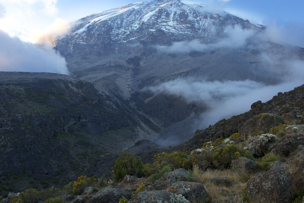 13 Day Kilimanjaro Hike & Uganda Gorilla Safari