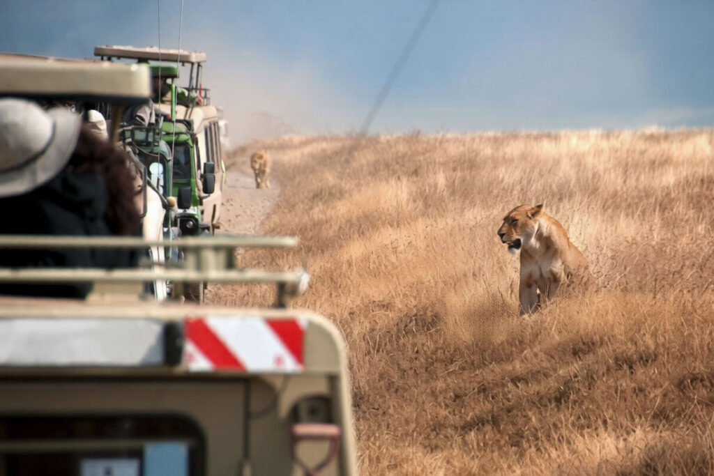 3 Day Serengeti National Park Safari