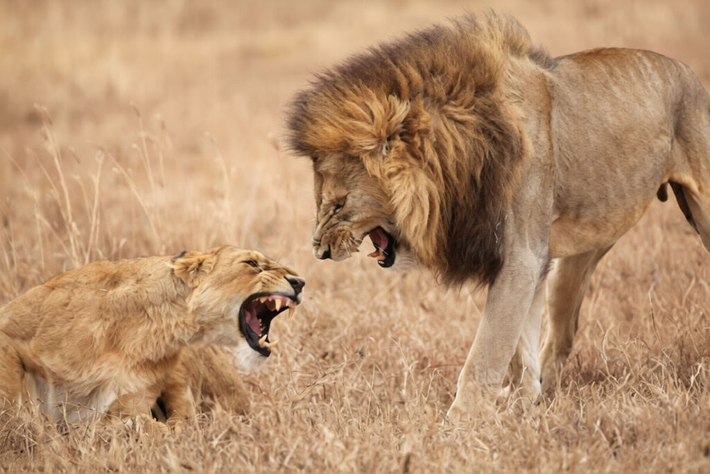 Serengeti National Park