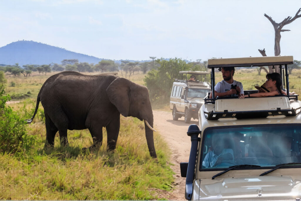 12 Day Uganda Gorillas, Tanzania Wildlife & Zanzibar Beach Safari